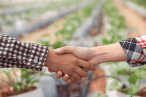 relation agriculteur et client
