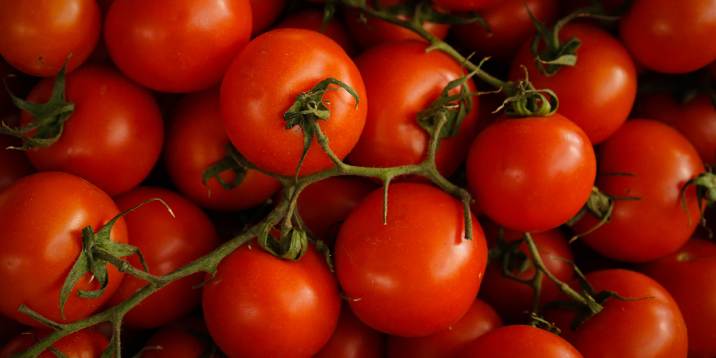 banner tomatoes 1200x600 2